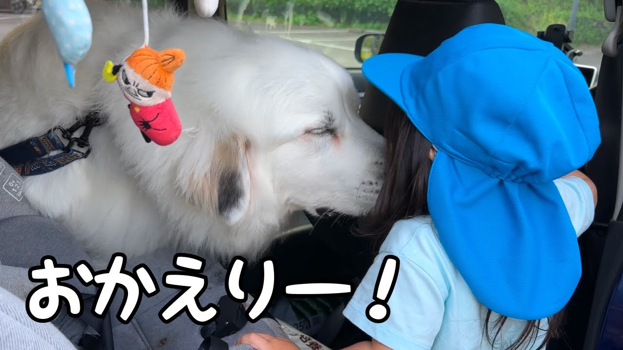 つかいふるしのいぬ Victor ビクター犬 ニッパー 昭和レトロ ビクター 犬 高さ21cm Victor