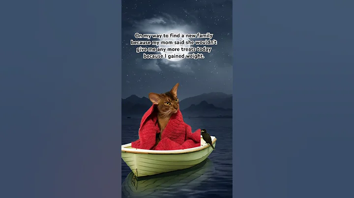 Watch the video about Well, bye, then. #cat #abyssinian #cats #kitten #kitty #abyssiniancats #cutecat #catshorts