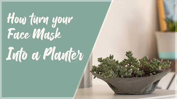 How to make a cement planter out of a Face Mask DI...