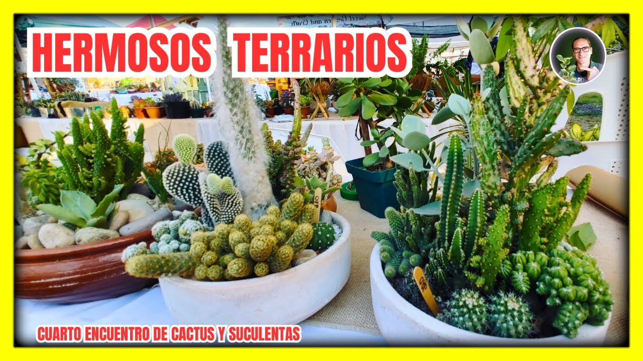 INCREÍBLES TERRARIOS en el Cuarto Encuentro de Cactus y suculentas | Gio de la Rosa