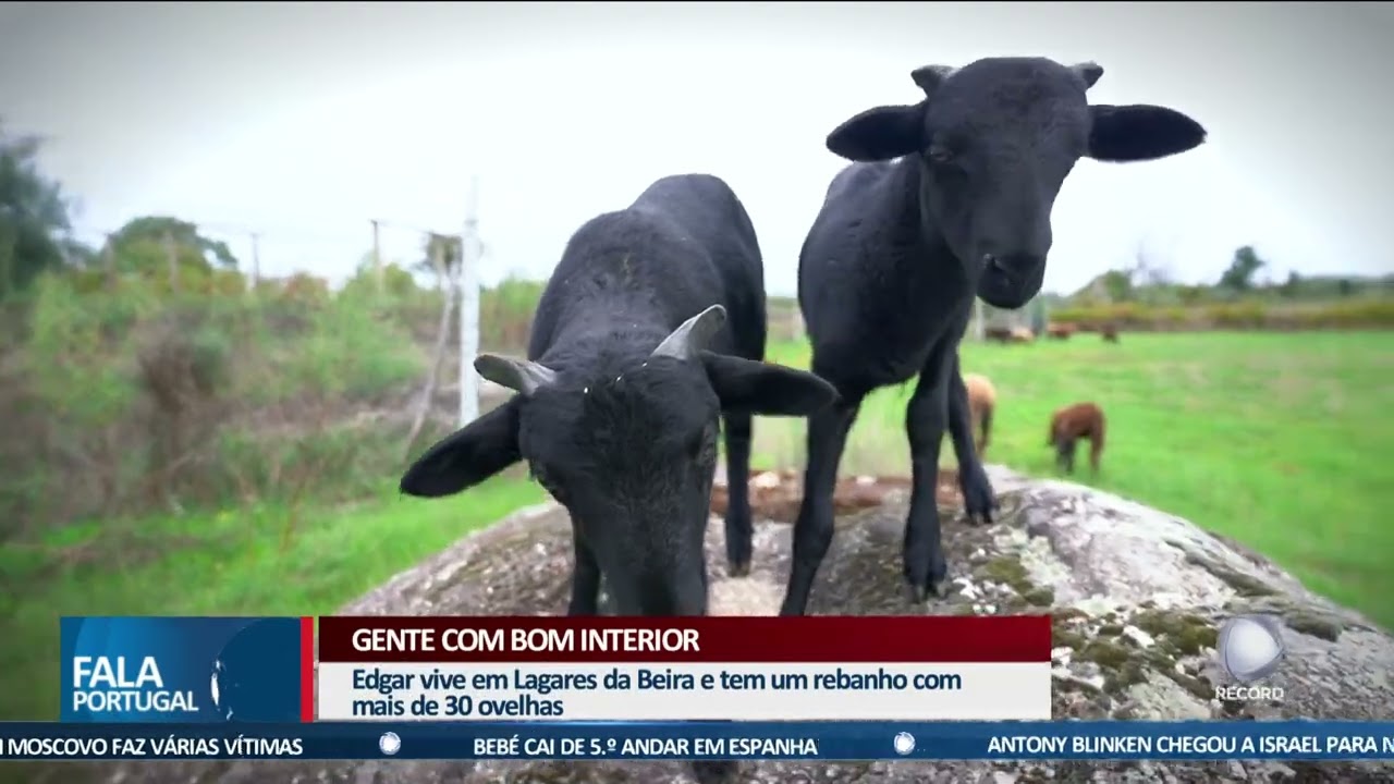 Gente com bom Interior: O pastor mais jovem do país