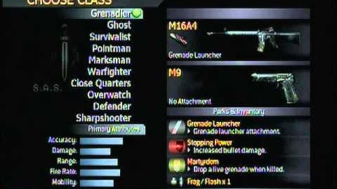 FREE Infections from a COD4 checker map