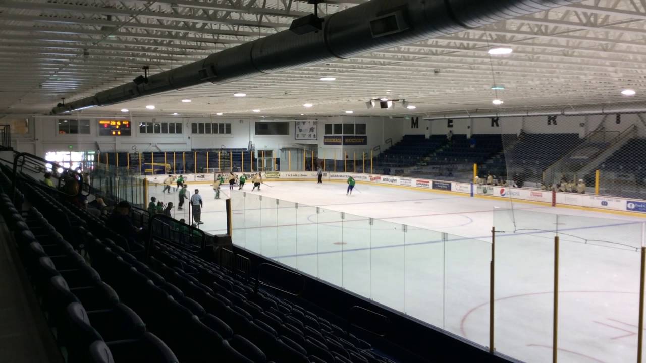 Autumn Mish #6 Green vs Gold @ North American Premiere Women's Hockey Showcase 2016 Shift #14