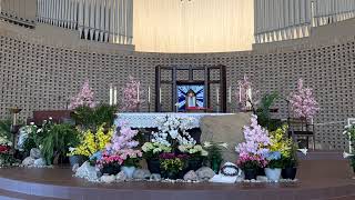 Fourteenth Sunday in Ordinary Time 7-5-26 Mass 9:30 AM (music onelicense.net A-720583)