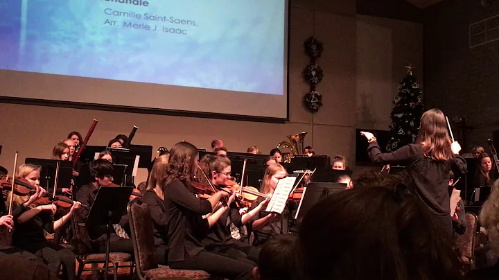 NPA Orchestra Concert Dec 2019