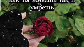 ТЫ УМРЕШЬ ТАК КАК ТЫ ЖИЛ