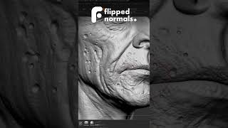 30% OFF - FlippedNormals Skin Kit @fnmarket
