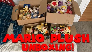 Unboxing My Entire Mario Plush Collection! - Super Mario Richie