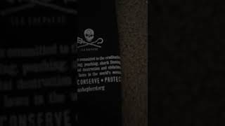 Sea Shepherd Stuff