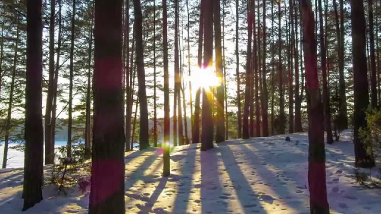 Around the World in 80 Clips