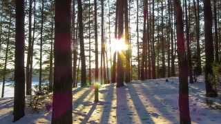 Around The World In 80 Clips