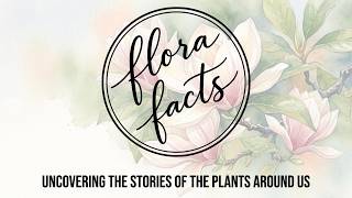 Hello and Welcome to Flora Facts