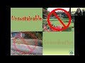 Native Landscaping Course: Part 1 - Nov. 3, 2022