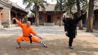 Northern Vs Southern Kung Fu - The Difference Is Brutal