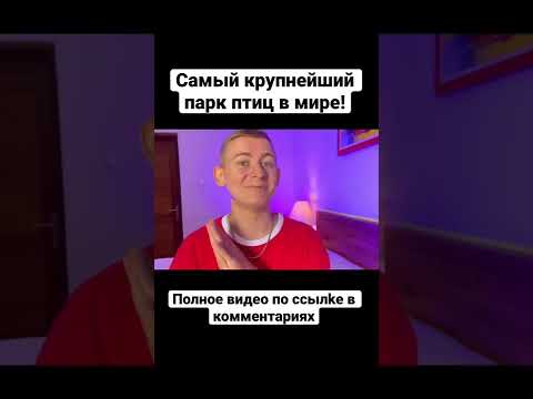 Птицы из красной книги на Бали