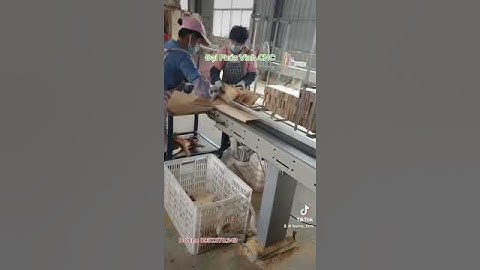 Máy cắt vạch phấn, loại bỏ khuyết tật, mắt gỗ … Woodmaster