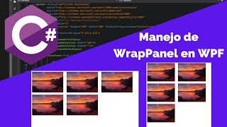 Curso WPF con C# - 4.  Manejo de WrapPanel.