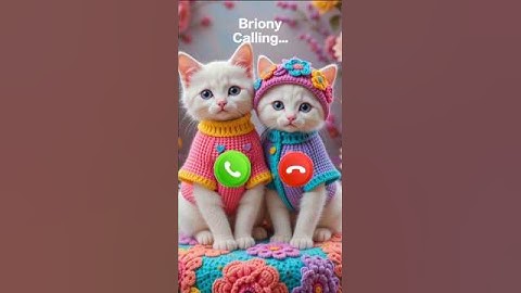 Briony calling 🤙🏻✨ #ringtone #youtubeshorts #cat #calling #cutecat #foryou #trending #youtube #viral