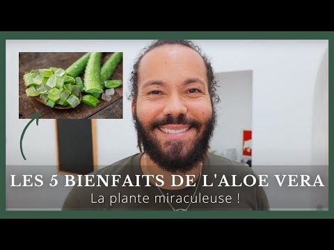 ALOE VERA : 5 bienfaits extraordinaires pour la santé