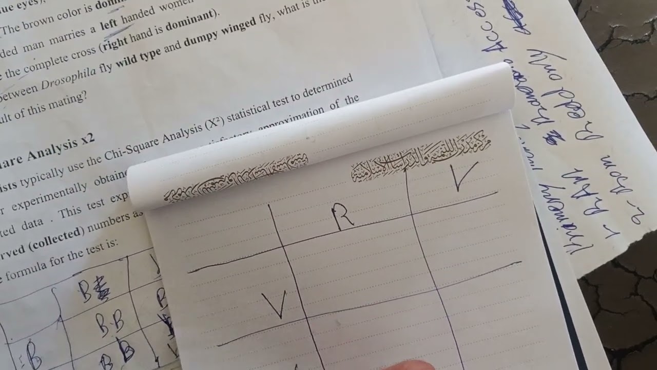 ١ آذار ٢٠٢٦