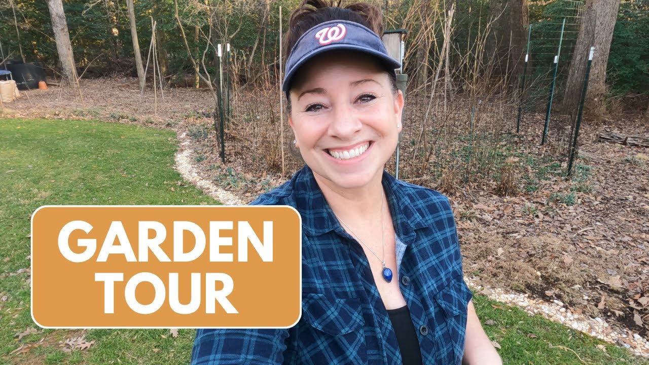 Woodland Garden Tour February 2023 Dead of Winter ;) YouTube