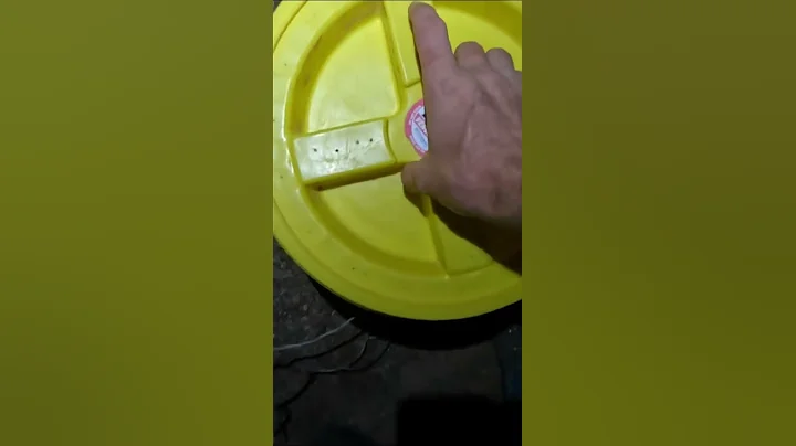 Mojave Rattlesnake Gets Into a Factory #shorts