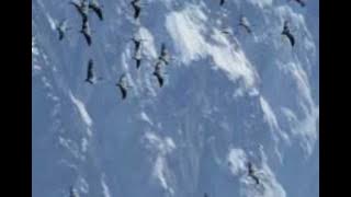 ATA - Blue Skies  (Temple One remix) - HQ