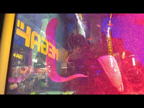 Shibuya Crossing || Tokyo Vlog