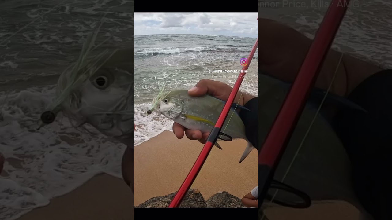 Early morning.  Kappa. 