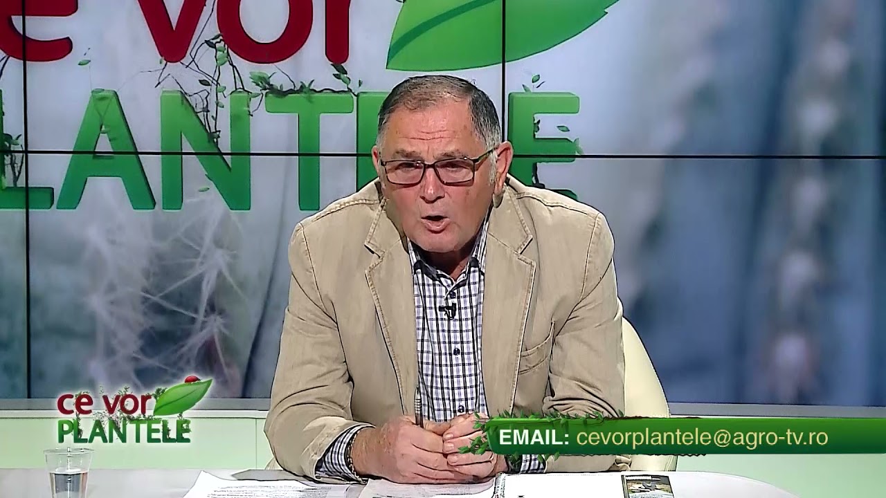 VIDEO Dr. Ing. Horia Ghibu - Cum scăpăm de MOLIA viței de vie 1 VIDEO Dr. Ing. Horia Ghibu - Cum scăpăm de MOLIA viței de vie YouTube player