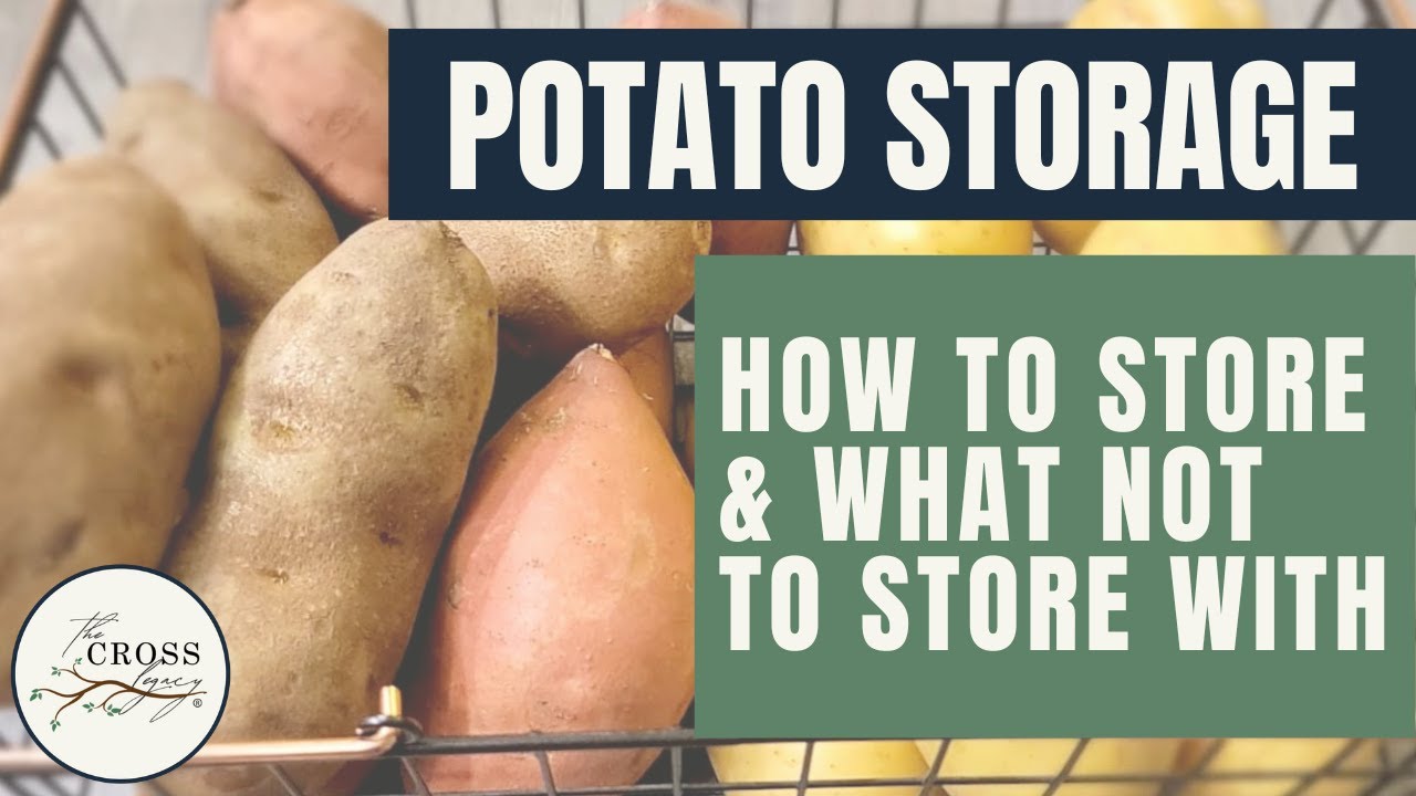 11 Ways to Use Up and Preserve Fresh Potatoes - One Hundred Dollars a Month