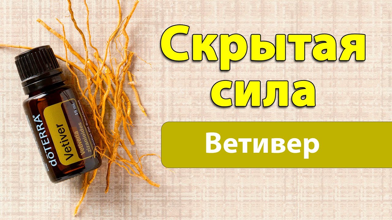 Масло ветивера свойства