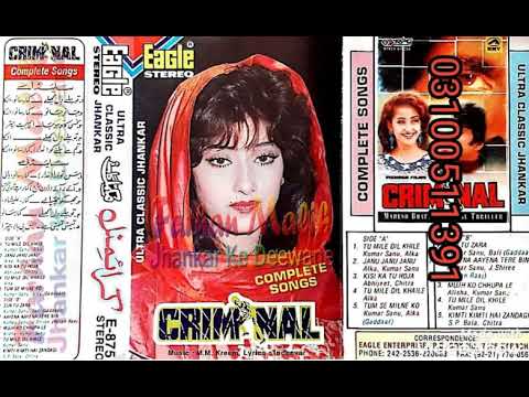 Tu Mile Dil Khile ((Eagle Jhankar))Kumar Sanu,, Alka Yagnik//movie Criminal ((1995))