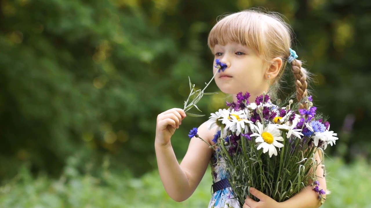 THE CROWN CHOICE natural air freshener made with essential oils