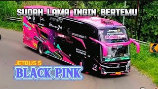 KESAN PERTAMANYA‼️ KETEMU BLACK PINK Disini. #bus #busmania #telolet #teloletbasuri #basuri