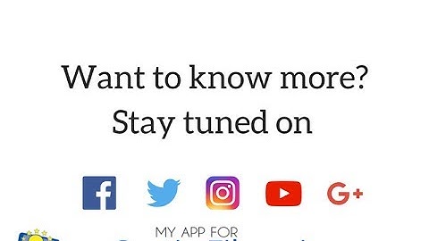 What are in vitro digestion studies?