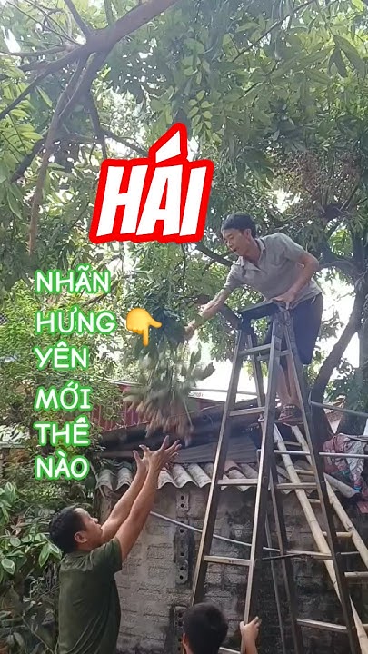 youtube.com