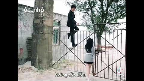 Tổng hợp 5 video Tiktok của  Cúc Tịnh Y