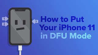 How To Put An iPhone 11, iPhone 11 Pro, Or iPhone 11 Pro Max In DFU Mode screenshot 5