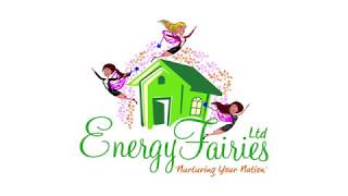 Energy Fairies LCEI Case Study