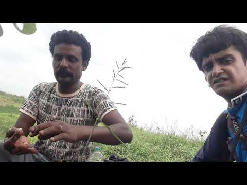 camera iphone 8 plus apk Last day field study at BURDWAMAN district,PALSHIT,khagra karomda area on 10-4-2019