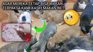 'Maafkan Kami Nak, Sementara Hanya Ini Yang Bisa dimakan. Insya Allah Akan Ada Rezeki, Aamiin...' by Sahabat Meongers 814 views 1 month ago 11 minutes, 15 seconds