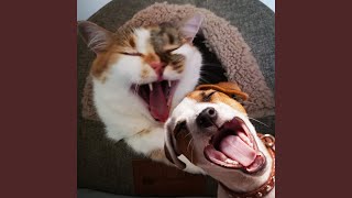 Laughter, Lots of Laughter - Leonardo Travensoli