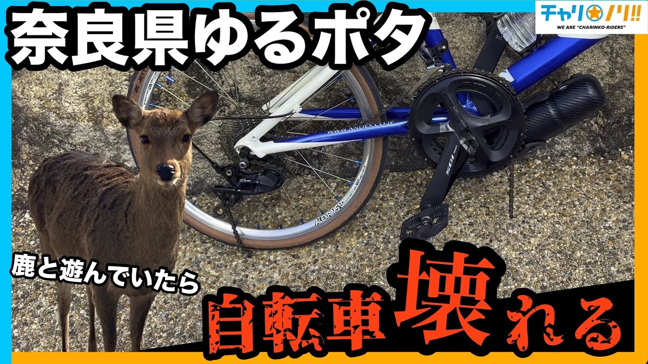 【奈良ゆるポタ】サクッと楽しむロードバイク散策！自転車はきらくにたのしんでなんぼ！・・・と思っていたらまさかの事態に