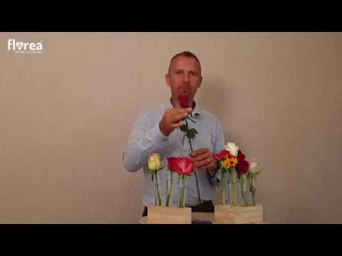 Video: Jak Poslat Květiny Do Jiného Města