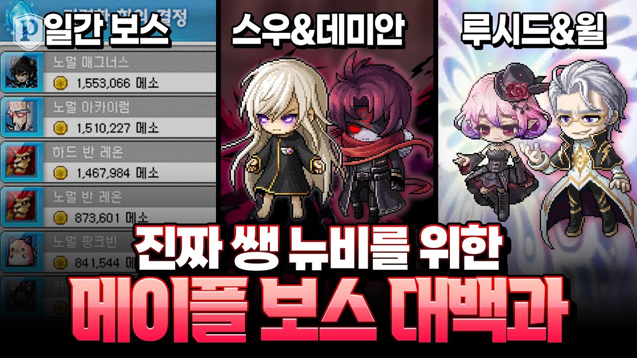 「뉴비 필수 시청」 영상 하나로 끝내는 보스 공략 [메이플스토리, 페이지]