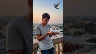 Kabutar Or Ladke Ka Gemini Photo Editing | Gemini Ai Photo Editing | #gemini #shorts #shortsfeed