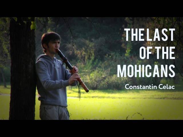 The Last of the Mohicans - Native American D Low Flute by Marton Pap class=