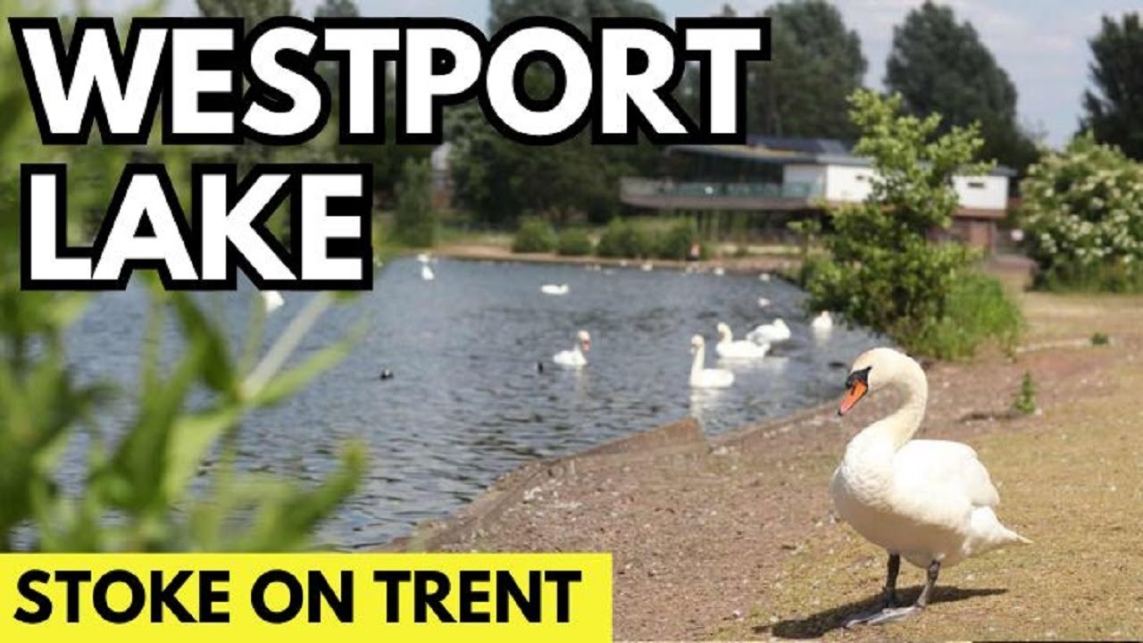 Велосипедная прогулка вокруг озера Уэстпорт - Ньюкасл-андер-Лайм - Развлечения в СТОК-ОН-ТРЕНТ