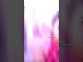 Itzy edit || After Effects || Read my Description